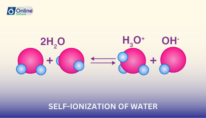 Lesson 04: Self-Ionization of Water